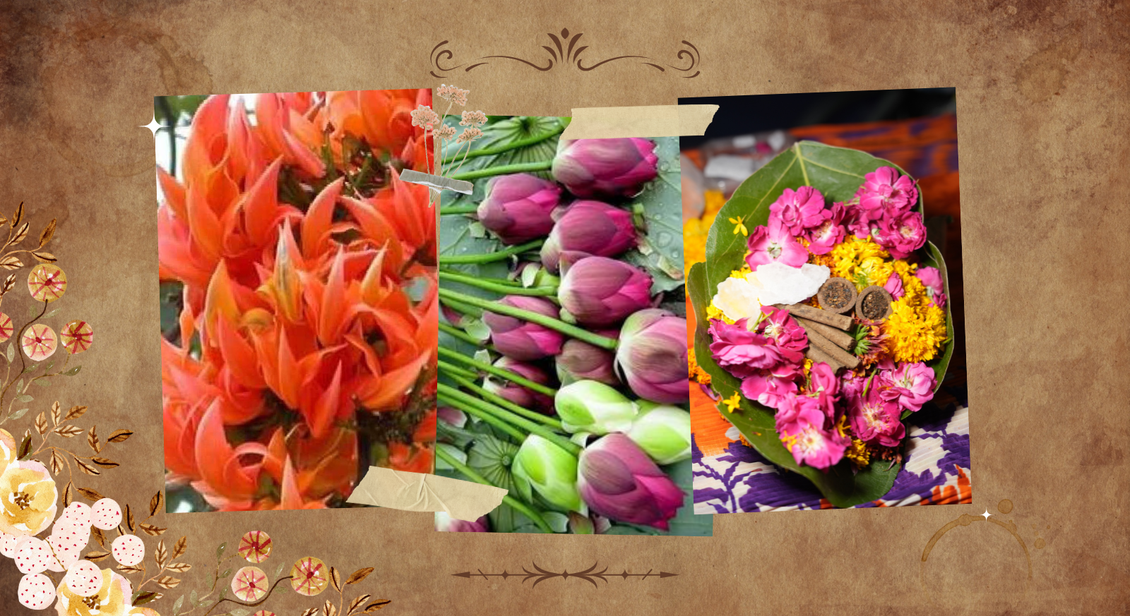 Image Slider